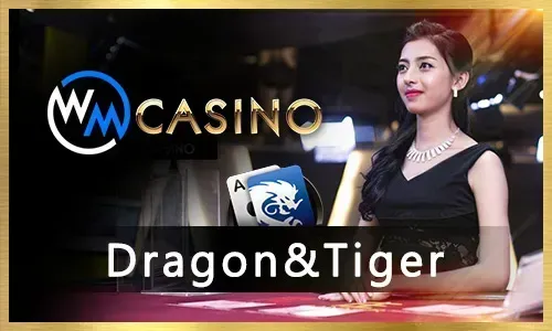 Daily cashback rewards for loyal players